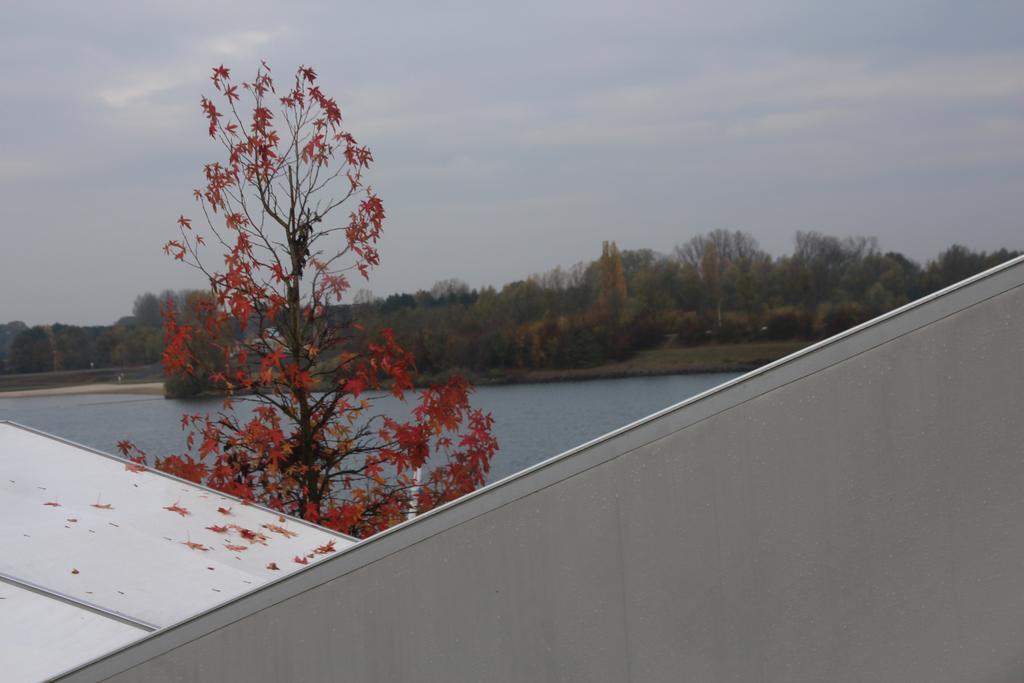 Sailcenter Limburg Albergue Kinrooi Exterior foto